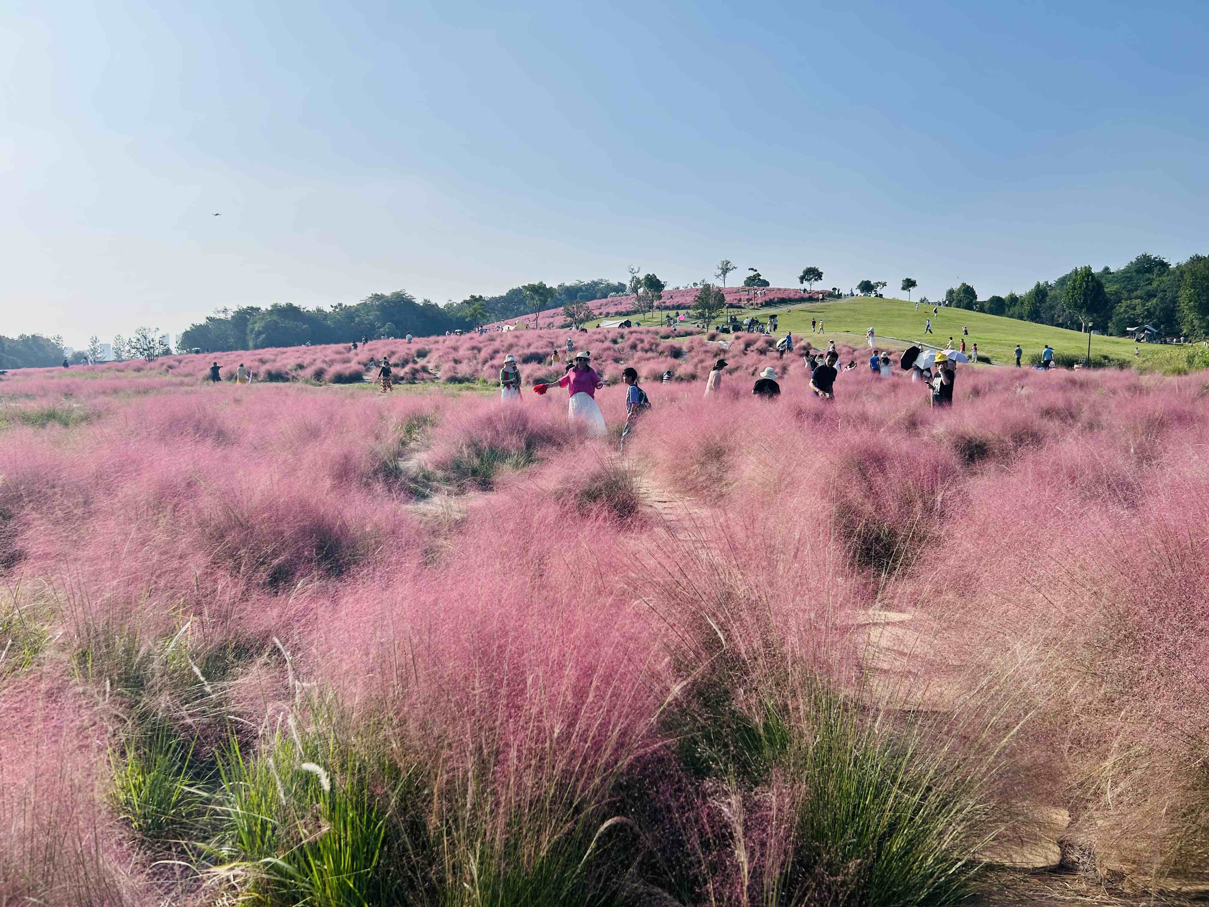 第11期 - 美国联邦政府继续关门